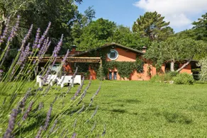 Castor & Pollux House in a splendid estate with a pool on the hills of Lucca - Image 2