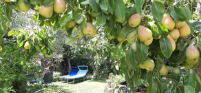 CASA AGATA A DUE PASSI DAL MARE - Image 4