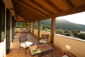 the terrace on the Maremma - (for 4+1) - Image 3