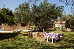 Cretan cottage of 1900 with beautiful olive yard - Image 4