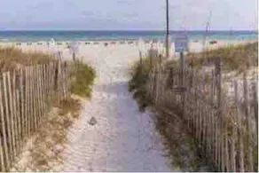 Bare Footin on the Beach. Family friendly Condo! - Image 2