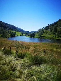 Steinheim cabin rental, by the river in Norwegian nature - Image 4