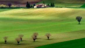 CASA DE NONNA PEPPA farmhouse all to yourself - Image 5