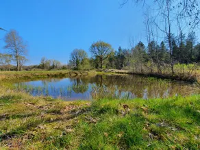 Sologne - Country cottage - Image 3