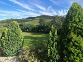 Cottage with a View - Image 2