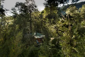 Cabaña Tinquilco, in Huerquehue National Park - Image 2