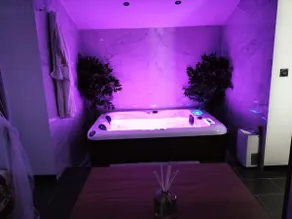 Furnished tourist accommodation with jacuzzi spa and garden - Image 4