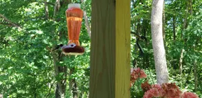 Peace of Nature Rustic Retreat - Image 4