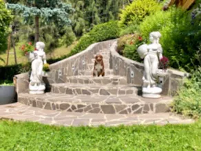 Idyllisches Gartenapartment & Wellness - Image 5