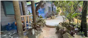 Coco Africa House ... A Private Forest Getaway - Image 3
