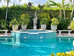 Tropical Charm - Image 4