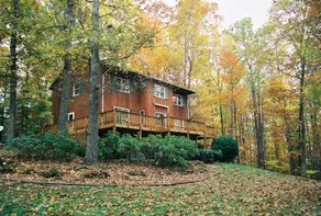 Relax and Breathe In Nature at the Forest Haven! - Image 2