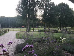 Nice place on the edge of the forest and near village! - Image 4