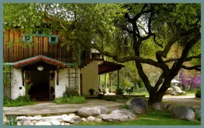 Romantisk Sequoia-flodsuite - Image 3