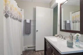 Quiet/Renovated- 2 blocks to Downtown Urbana - Image 4