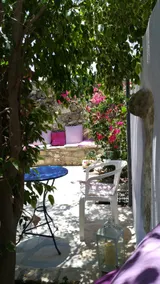 The Little Pearl - Image 5