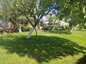 Martínez Suances House - Image 5