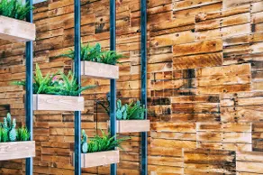 GreenHouse civico 56 - Image 3