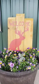 Jackalope Burrow w/ 2 suites - Image 3