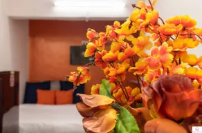 Pocket friendly studio in Bandra W! - Image 5