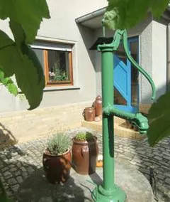 Country idyll apartment between Naumburg and Freyburg - Image 2