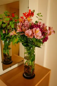 Daisy Mae's Guest Space - Phinney Ridge - Image 2