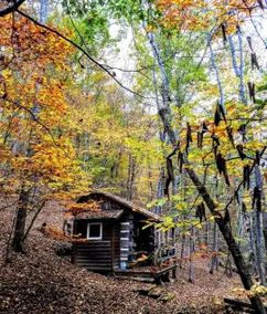 Bird Hollow Cabin (1 room antique logs) - Image 4