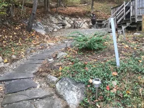 The Little Cottage in the Woods - Image 4