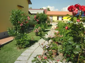 3 rooms Apt. 4 persons Vada Tripesce - Image 4