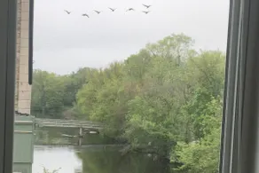 Riverview #1 - Image 4