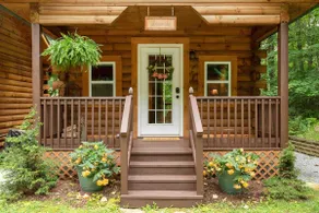 Little Cabin in the Woods - Image 2