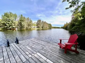 Pet-Friendly Waterfront Cabin | Canoe, Kayak, SUP - Image 5