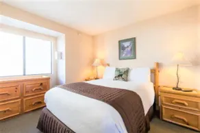1Bedrm Partial LakeView Condo for4-w/Kitchen LL1BV - Image 3