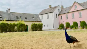 Richfield House And Ballymagyr Castle Cottages - Image 3