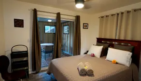 ”Dancing Turtle's ”Guest Suite” - Image 4