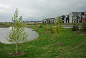 Enjoy staying in Calgary, Livingston community - Image 4