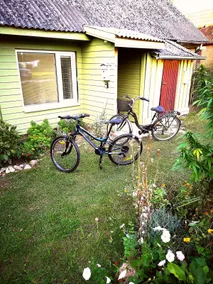 Big bee residence - Image 3