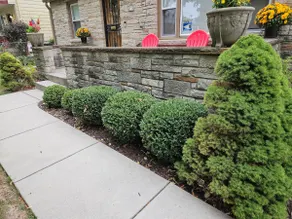 Spacious 2 br Complete Living - Image 3