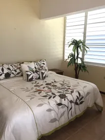 Pristine Oceanfront Condo zu vermieten - Image 3