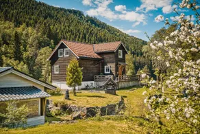 Beautiful Private Villa with Lake View and Boat - Image 3
