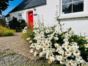 The Dairy @ Trefechan Wen - Image 2