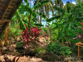 Seaview A-frame 💚 ECO Bungalow-1 - Image 3