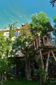 The Tree House of Chiloé - Image 3