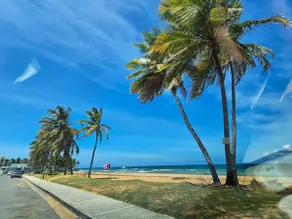 Live the real Caribbean experience! - Image 5