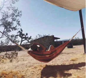 Joshua Tree 1954 Homestead Cabin - Image 3