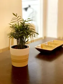 ArtStay | Private Apt | Central | Downtown - Image 5