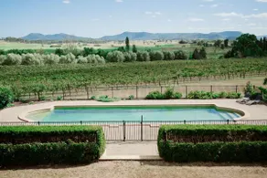 Vineyard Views - Shiraz Cottage at Tranquil Vale - Image 3