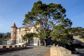 Starhost - CASTLE MEZZACAPO seaview terrace, garden and parking - Image 2