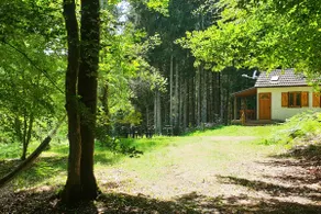 Lake Chaumeçon Cottage with Private Pond - Image 4