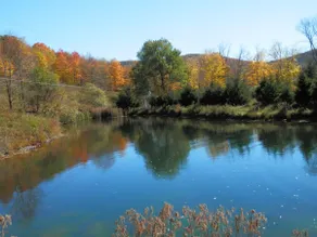 Wolf Hollow Farm - Image 3